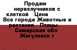 Продам 2 неразлучников с клеткой › Цена ­ 2 500 - Все города Животные и растения » Птицы   . Самарская обл.,Жигулевск г.